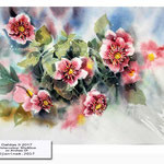 Dahlias II 2017 (14) / Watercolour 30x40cm on Arches CP © janinaB. 2017