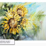 Sunflowers VI 2017 (20) / Watercolour 30x40cm © janinaB. 2017