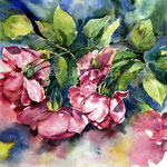 Rosen II (15) / Aquarell auf Arches 30x40cm