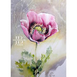Poppy I 2024 (O3) 20x30cm / Watercolour by ©janinaB.