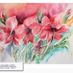  Amaryllis I 2017 (21) / Watercolour 30x40cm © janinaB. 2017