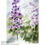 Delphinium V 2018 / 30x40cm / (22) / Watercolour by ©janinaB.