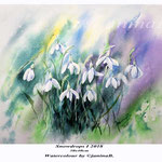 Snowdrops I 2018 (21) / 30x40cm Watercolour by ©janinaB.