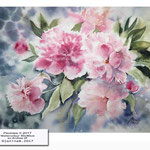 Peonies II 2017 (14) / Watercolour 30x40cm on Arches CP © janinaB. 2017