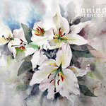 Lilies I 2020 (28) / 30x40cm  Watercolour by ©janinaB.