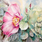 wild rose I 2021 (AB6) 30x40cm / Watercolour by ©janinaB. 