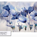 Blue poppy II 2017 (O1) / Watercolour 20x30cm on Arches CP © janinaB. 2017