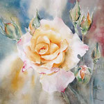 Roses IV 2021 (32) 30x40cm / Watercolour by ©janinaB. 