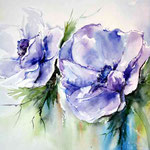 Anemonen (18) / Watercolour 23x30cm