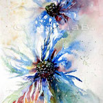 Distel / Aquarell 15x22cm