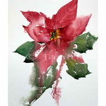 Weihnachtsstern I (17) / Aquarell 23x31cm auf Arches Grain Torchon © janinaB.