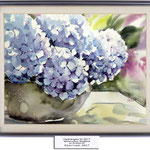 Hydrangea III 2017 (14) / Watercolour 30x40cm on Arches CP © janinaB. 2017