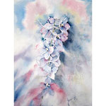 Delphinium I 2021 (32) 30x40cm / Watercolour by ©janinaB. 
