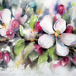 Apple blossom I 2020 (28) / 30x40cm  Watercolour by ©janinaB.