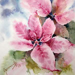 Poinsettie I 2020 (O3) / 15x20cm Watercolour by ©janinaB. 