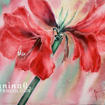Amaryllis I 2020 (28) / 30x40cm Watercolour by ©janinaB.