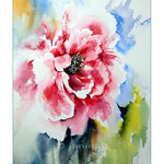 Pfingstrose (1) / Watercolour 30x40cm