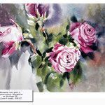 Roses VII 2017 (17) / Watercolour 30x40cm on Arches CP ©janinaB.2017