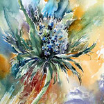 Distel (9) / Watercolour 23x30cm
