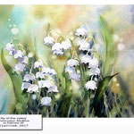 lily of the valley (14) / Watercolour 30x40cm on Fabriano CP © janinaB. 2017 
