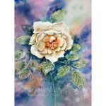 #Rose I 2021 (32) 30x40cm / #Watercolour by ©janinaB. 