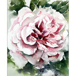 Rose I (O1) / Watercolour 15x21cm