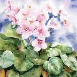Veilchen I (T3) / Aquarell 36x51cm © janinaB.