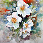 Roses VIII 2020 (30) / 30x40cm Watercolour by ©janinaB. 