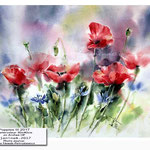 Poppies III 2017 (15) / Watercolour 30x40cm on Arches HP © janinaB. 2017