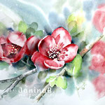 Blossom I 2020 (28) / 30x40cm  Watercolour by ©janinaB.