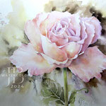 Rose I 2024 (T2) 30x40cm / Watercolour by ©janinaB.