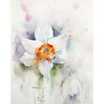 Daffodil II 2021 (O1) 16x23cm / Watercolour by ©janinaB. 