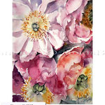 Flowers XI 2017 (O1) / Watercolour 18x25cm Photo source: Steph Turpin © janinaB. 2017