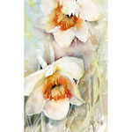 Daffodils II 2021 (O1) 13x26cm / Watercolour by ©janinaB. 