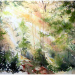 Wald (24) / Watercolour 30x40cm