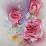 Rosen XVI (5)/ Aquarell 30x40cm © janinaB.