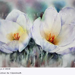 Crocuses I 2018 (22) / 23x31cm Watercolour by ©janinaB.