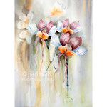 Orchid I 2021 (30) 30x40 / Watercolour by ©janinaB.