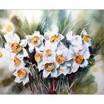Narzissen 2014 (20) / Watercolour 30x40cm