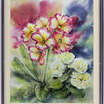 Primroses I 2017 (10) / Watercolour 30x40cm on Arches CP © janinaB. 2017