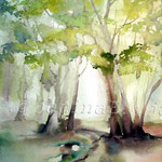 Frühling im Wald I (2) / Watercolour 30x40cm