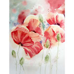 Poppies I 2021 (AB6) 30x40cm / Watercolour by ©janinaB. 