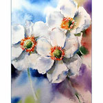 Drei weisse anemonen (O1) / Watercolour 15x20cm