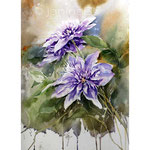 Clematis II 2022 (T1) 30x40cm / Watercolour by ©janinaB.