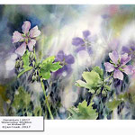 Geranium I 2017 / Watercolour 30x40cm on Arches CP © janinaB. 2017