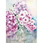 Flowers I 2021 (O3) 20x30 / Watercolour by ©janinaB. 
