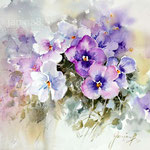 Pansies II 2021 30x40cm / #Watercolour by ©janinaB. 