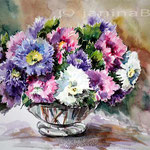 bunte Astern (15) / Watercolour 27x35cm