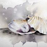 EDIM Day 23 a seashell (O4) 20x30cm / Watercolour by ©janinaB.