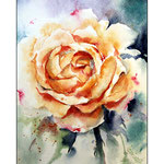 Rose 2013 17x24cm (O3)
